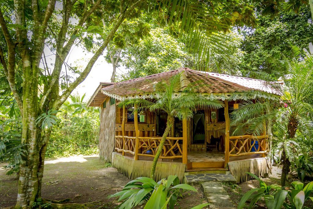 Hotel La Costa De Papito Puerto Viejo de Talamanca Phòng bức ảnh