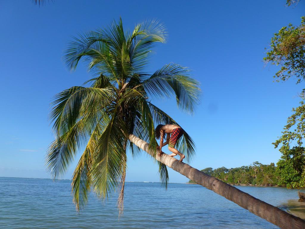 Hotel La Costa De Papito Puerto Viejo de Talamanca Ngoại thất bức ảnh