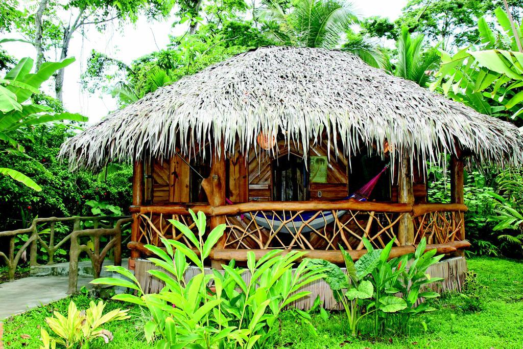 Hotel La Costa De Papito Puerto Viejo de Talamanca Ngoại thất bức ảnh