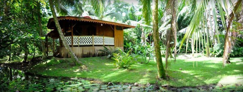 Hotel La Costa De Papito Puerto Viejo de Talamanca Ngoại thất bức ảnh