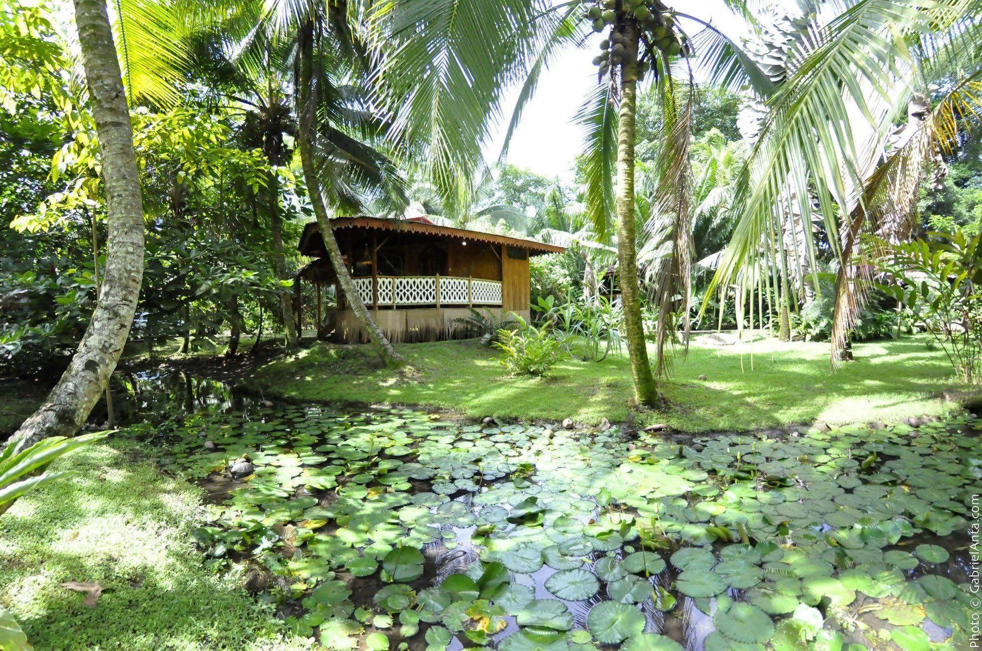 Hotel La Costa De Papito Puerto Viejo de Talamanca Ngoại thất bức ảnh